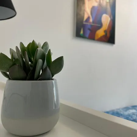 Apartamento Daisy House