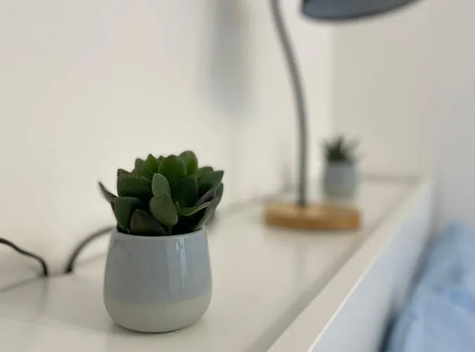 Appartement Daisy House *